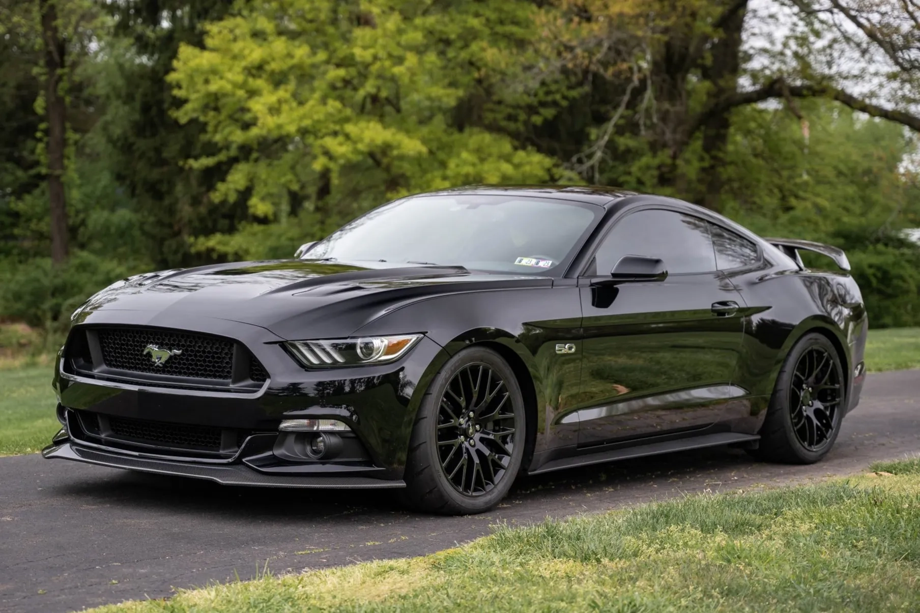 ford gt mustang 2015