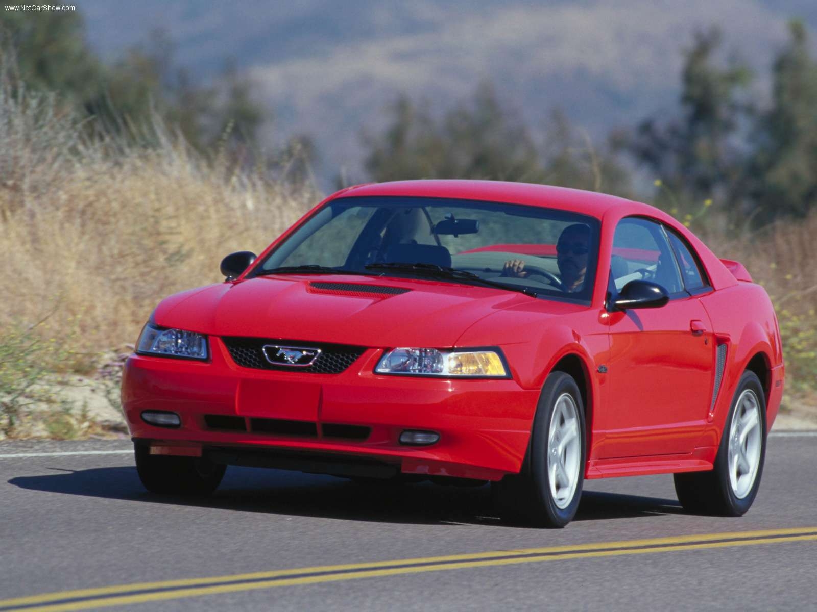 2000 ford mustang special edition