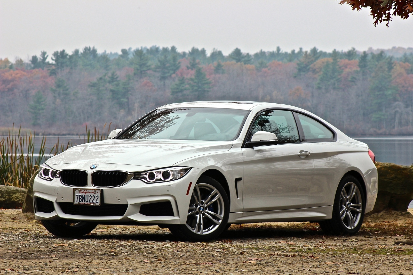 2014 BMW 4 Series Prices Reviews Pictures CarGurus