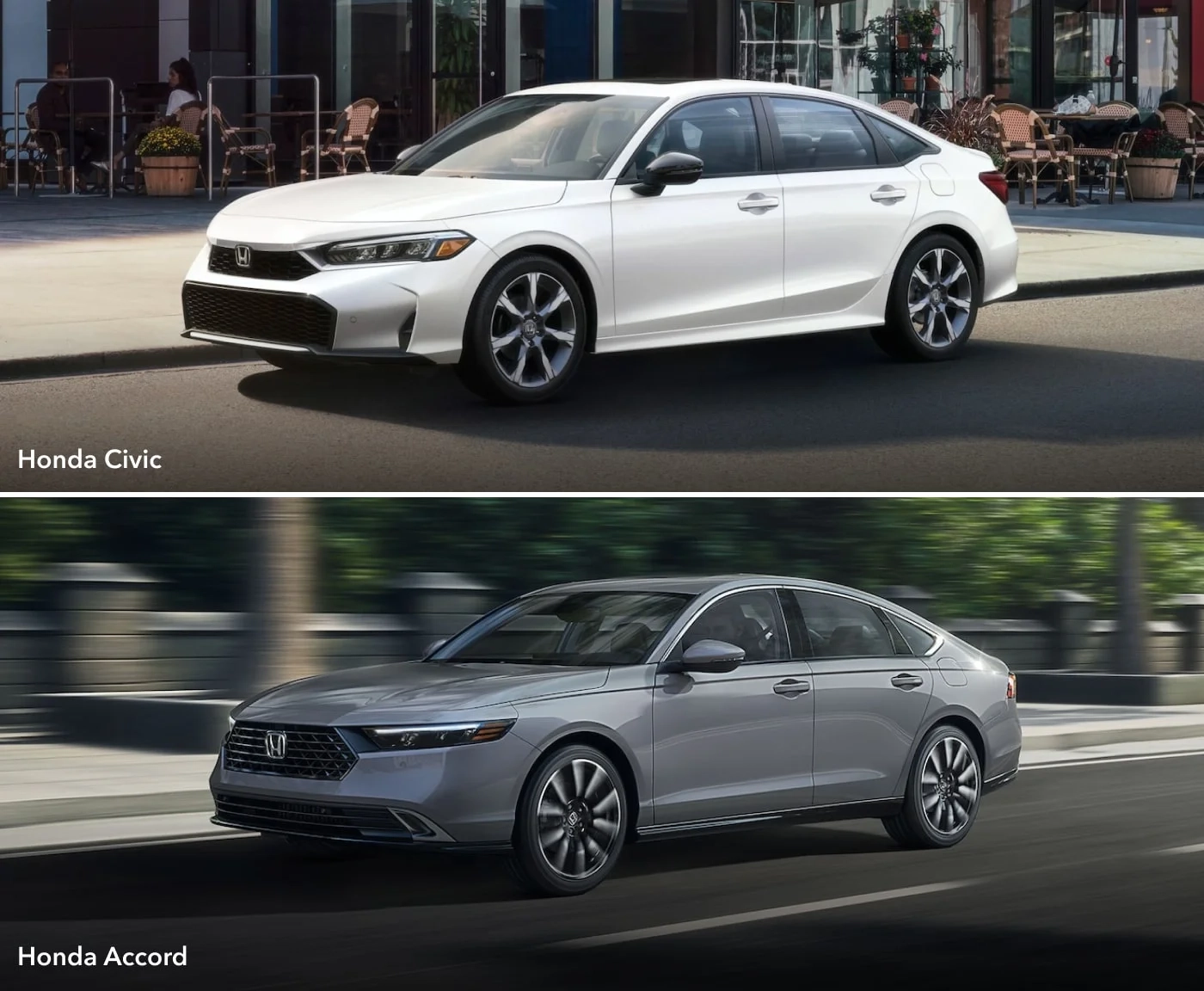 Honda Accord Vs Honda Civic Detailed Comparison
