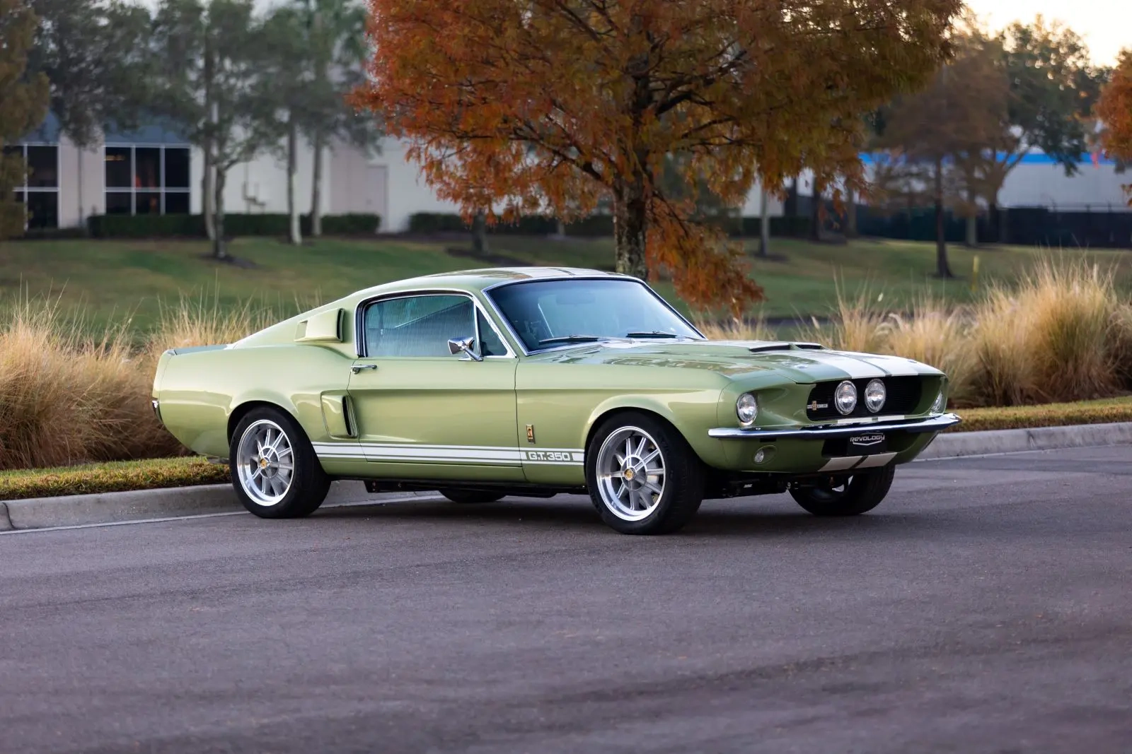 Shop 1967 Shelby GT350 New Reproduction Used For Sale