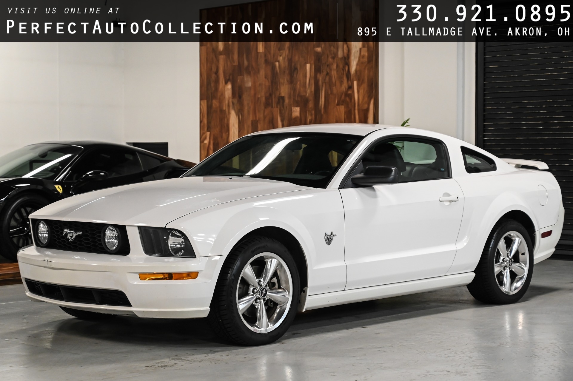 Used 2009 Ford Mustang GT Premium For Sale Sold Perfect Auto Collection Stock 95135775